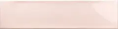 Petal Pink Gloss