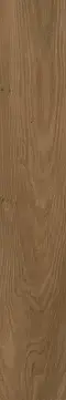 Nogal