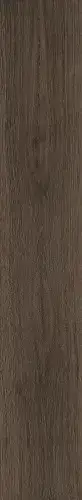 Mocha