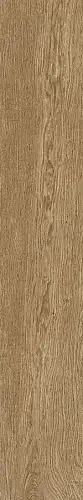 Beige Extra Matt Rett