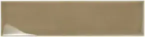 Aquarelle Olive