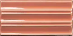 Belt Coral