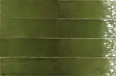 Green Gloss