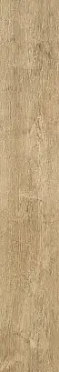 Golden Oak