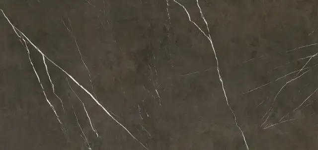 APAVISA PIETRA GREY POLISHED 119.3х260 G-3459