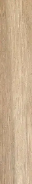 Acanto Miele ZZ |20х120