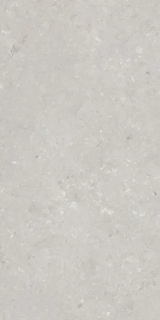 Shellstone Bianco 60x120