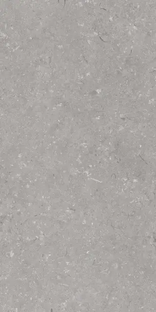 Shellstone Grigio 60x120
