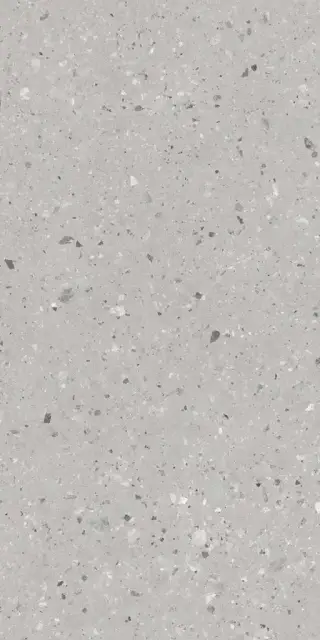 Граните Концепта Жемчуг MR мат.ZZ 60х120
