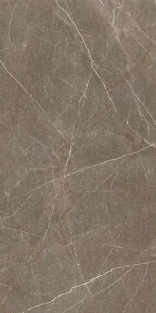 Гранит София Велюр MR матовый 60x120 XXZZ