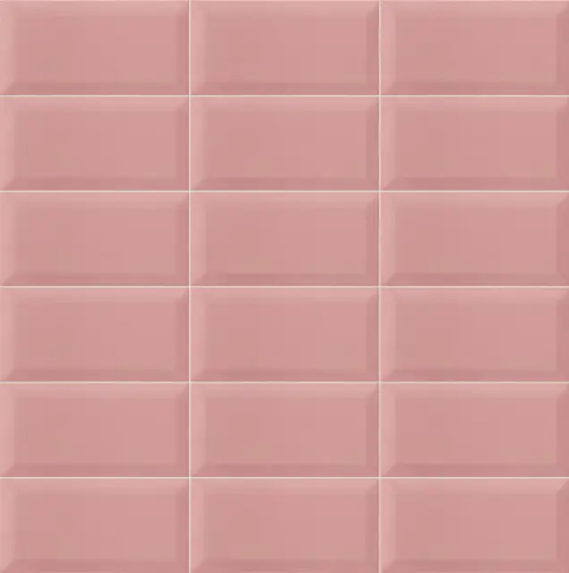 Bissel Pink 10x20