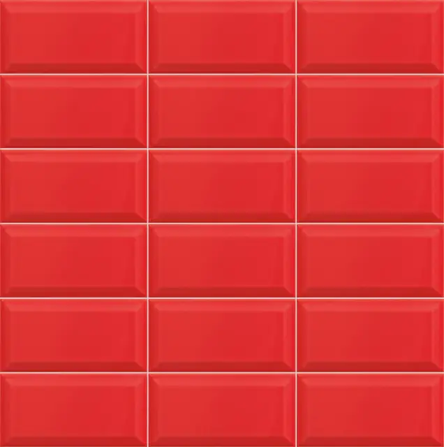 Bissel Rubi 10x20