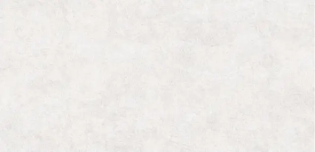 Сэндбарк Белый Матовый R11b 60x120