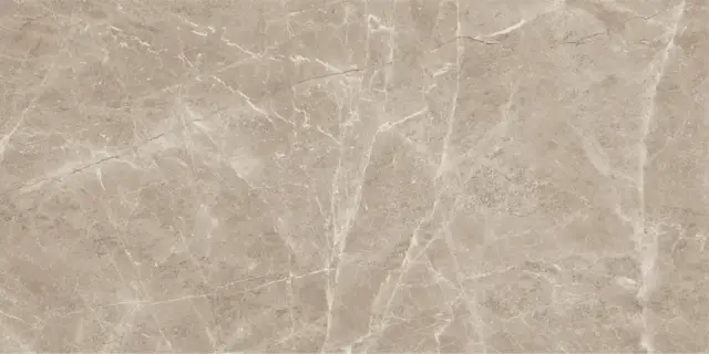 Frappuchino Taupe Polished 80x160