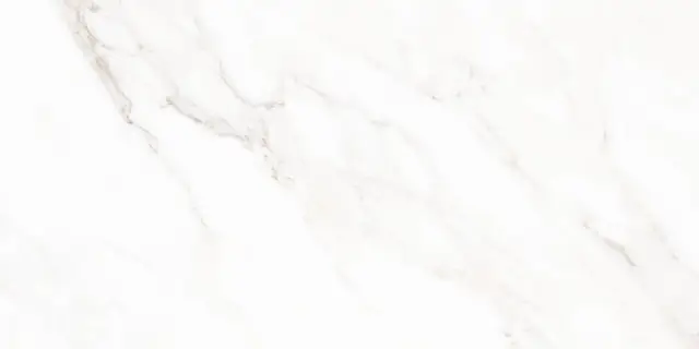 Calacatta Classic Polished 60x120