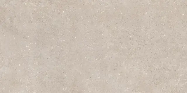Palazzo Beige Matt 60x120