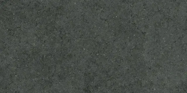 Форум Стоун Петрол 60x120