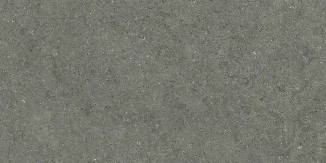 Форум Стоун Айрон 60x120