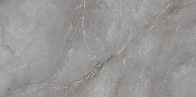 Orobico Grey Polished 60x120