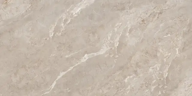 Rome Taupe Polished 60x120