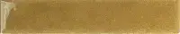 Dijon Gloss