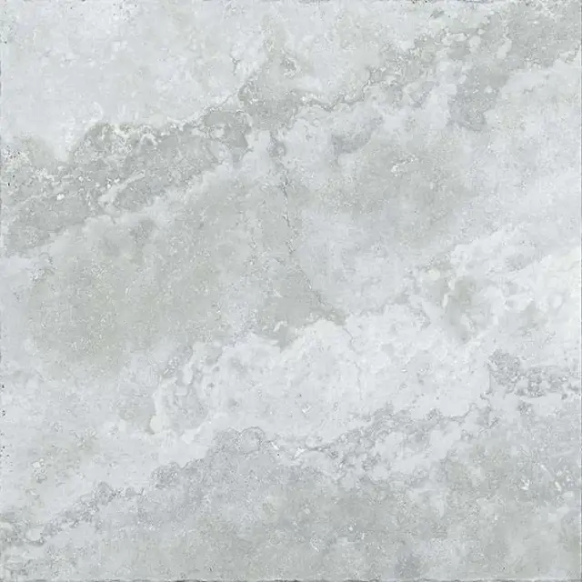 Primary SILVER