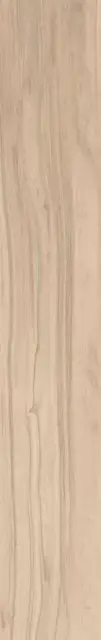 Beige Chiaro Nat  |16x100