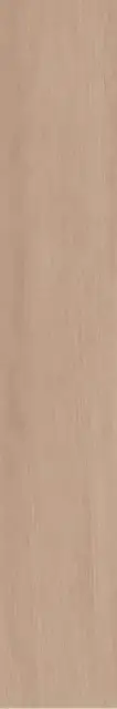Тьеполо бежевый матовый обрезной 9,6x60