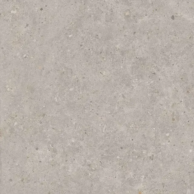 Риккарди серый светлый матовый обрезной 60x60