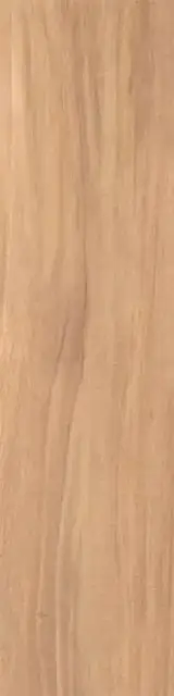 Nut beige 12.5x50