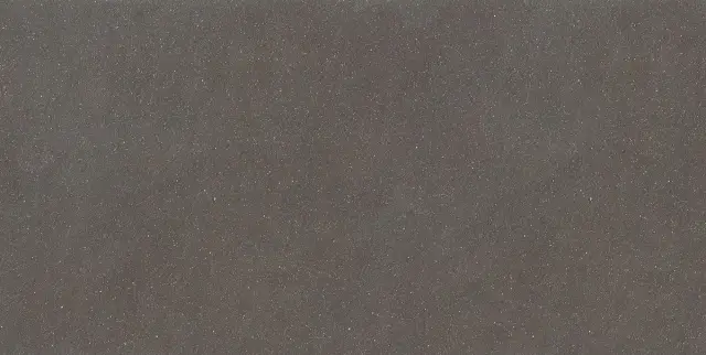 Earthtech Carbon Ground Ptv 9 Mm 60x120