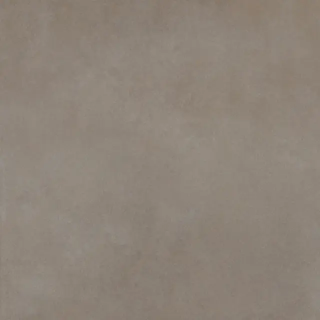 Easy Life Grey Salt Matte 120x120
