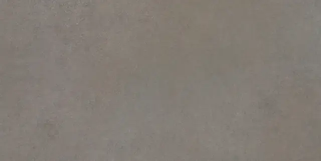 Easy Life Grey Salt Silk Matte 60x120