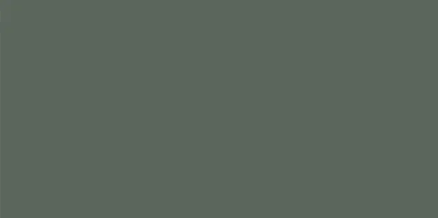Monotone Juniper D2 60x120