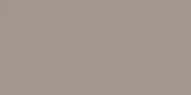 Monotone Dust D2 60x120