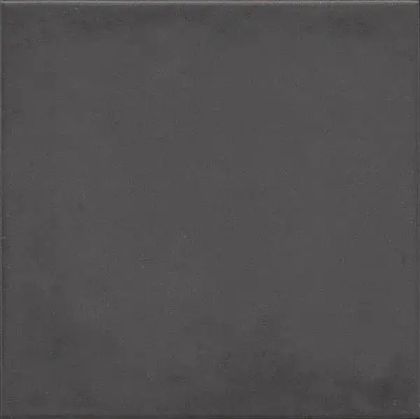 Напольная плитка 1900 Basalto 20x20