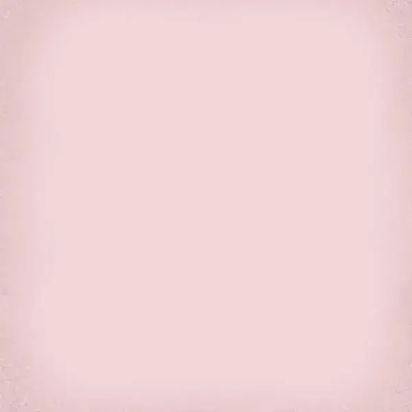 Напольная плитка 1900 Roza 20x20