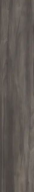 Плитка напольная DOLPHIN COAL AGED RETT. 	20X120