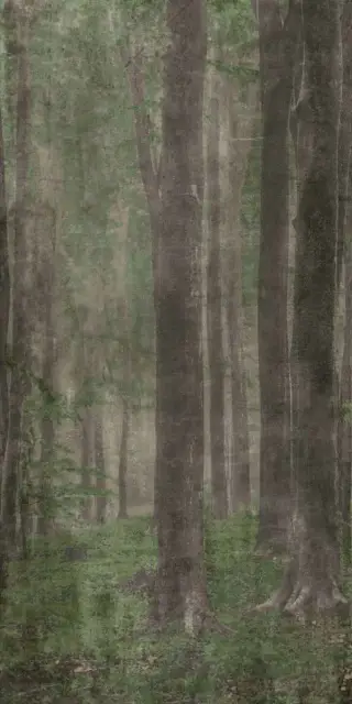 Керамическая плитка W&S D WOODS A 120x240