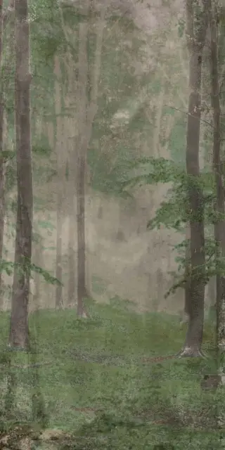 Керамическая плитка W&S D WOODS B 120x240