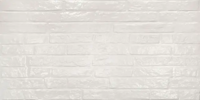 Керамическая плитка STREET WHITE GLOSSY RETT 	60X120