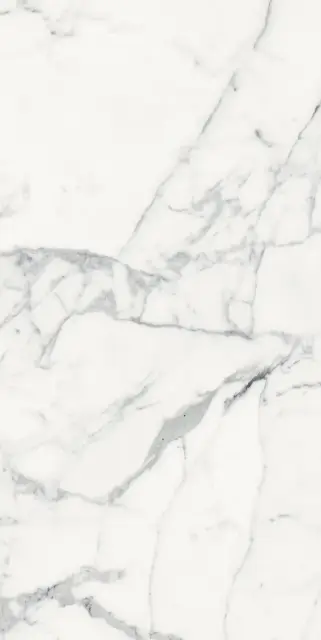 Керамогранит LES ORIGINES DE REX BLANC GLOSSY 60X120