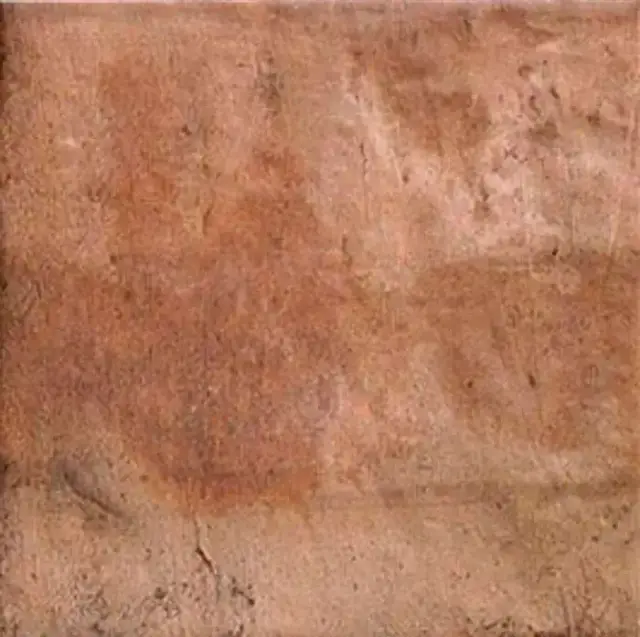 Forli Cotto ZZ 20x20