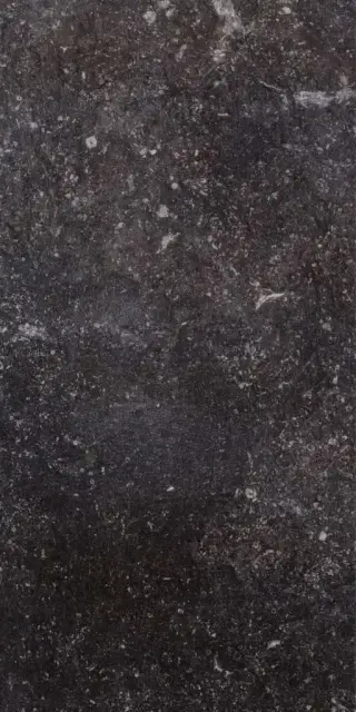Ardenne Nero 20х40