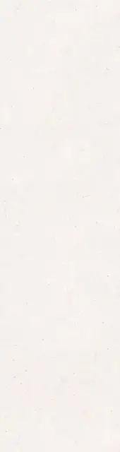 Piatto White Matt 15 mm 80x300