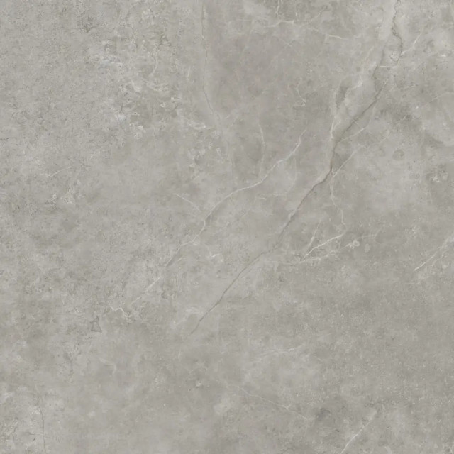 FIORI DI BOSCO SILK PV6 120X120(A)