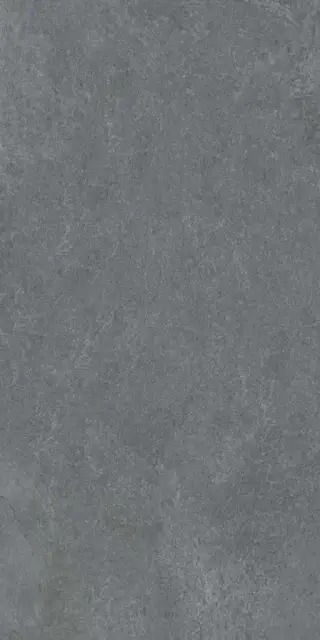 Posh Coal 60x120
